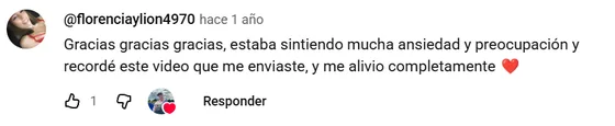Comentario real en YouTube de @florenciaylion4970